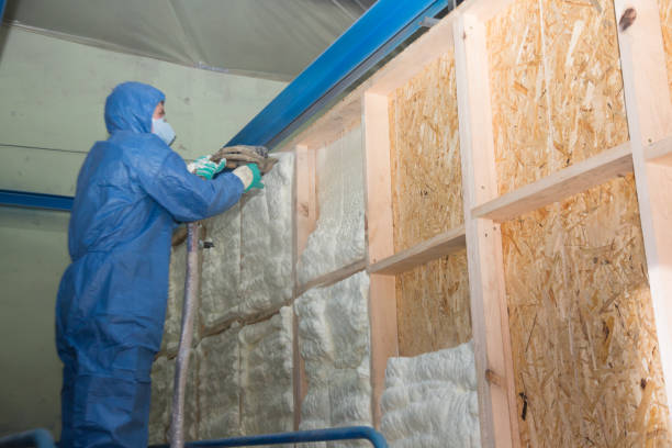 Insulation Repair Services in Ellicott, CO